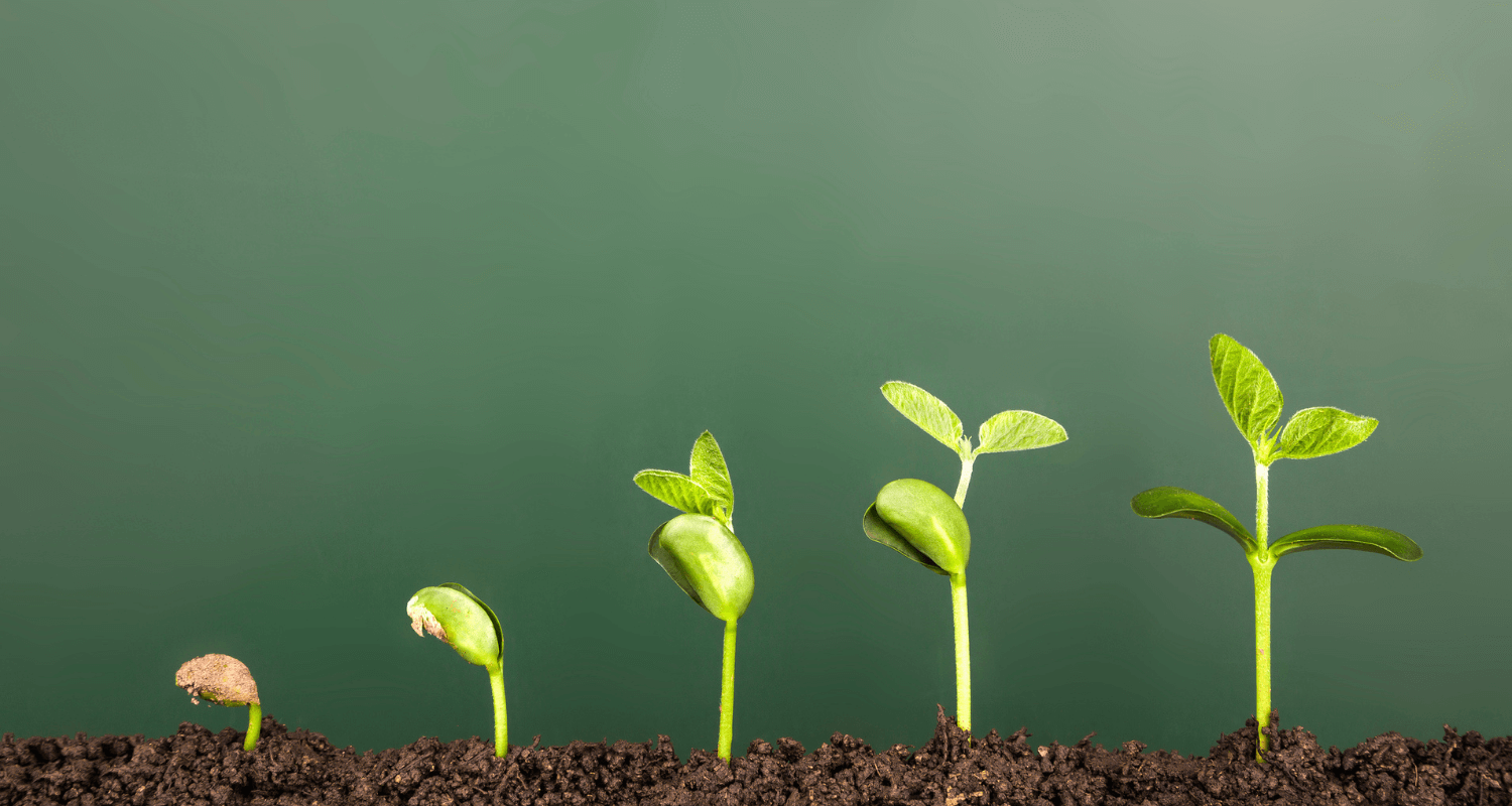 Keeping your culture as the business scales